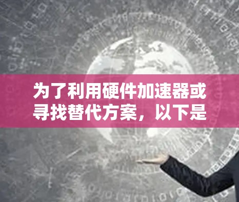 为了利用硬件加速器或寻找替代方案，以下是详细的步骤和建议