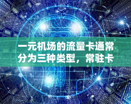 一元机场的流量卡通常分为三种类型，常驻卡、移动流量卡和固定流量卡。以下是详细的分析和建议