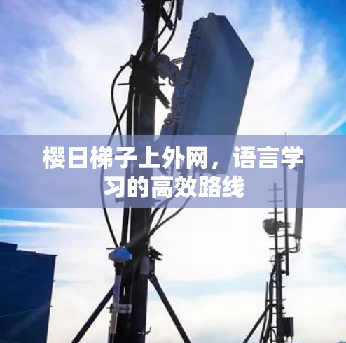 樱日梯子上外网，语言学习的高效路线