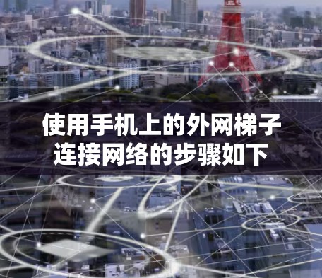 使用手机上的外网梯子连接网络的步骤如下