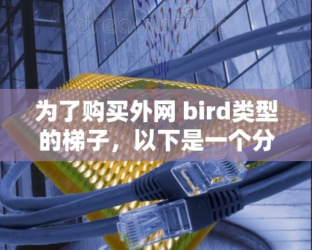 为了购买外网 bird类型的梯子，以下是一个分步的建议