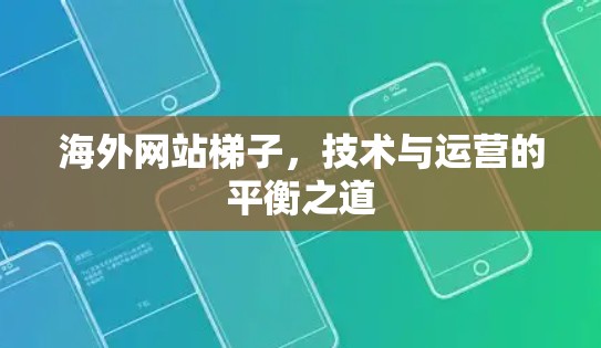 海外网站梯子,技术与运营的平衡之道 海外网站梯子,技术与运营的平衡之道