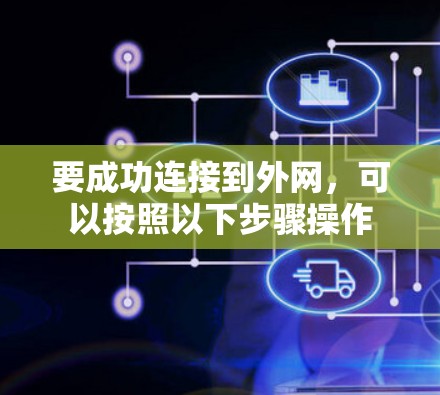 要成功连接到外网，可以按照以下步骤操作