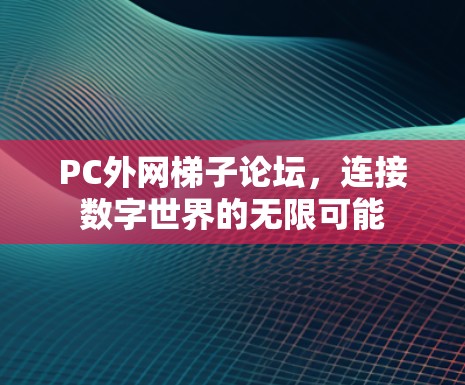 PC外网梯子论坛，连接数字世界的无限可能