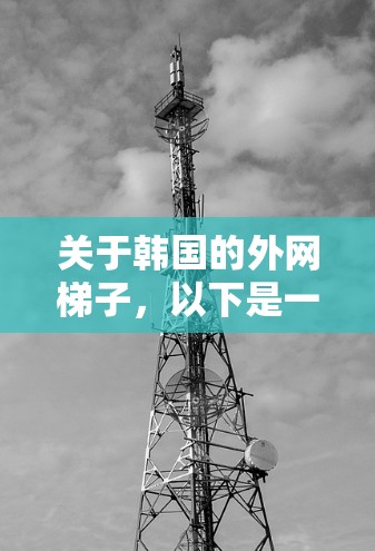 关于韩国的外网梯子，以下是一些关键信息和建议