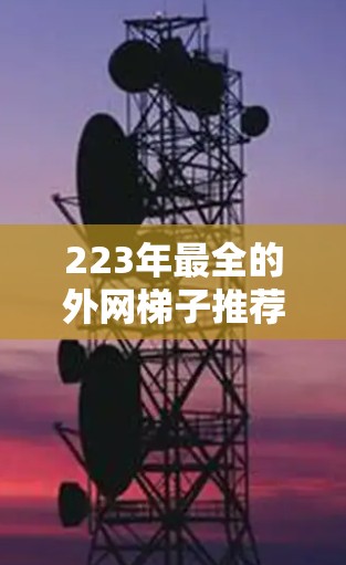 223年最全的外网梯子推荐网站，让你轻松配置外网！