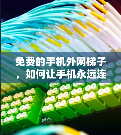 免费的手机外网梯子，如何让手机永远连接到互联网