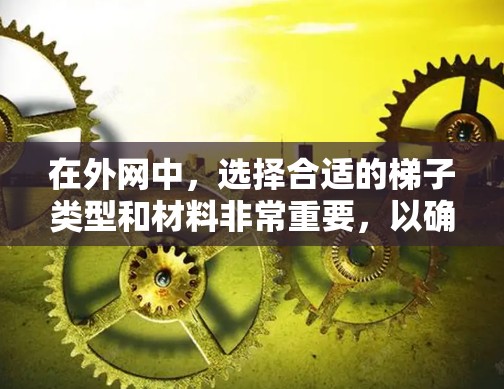 在外网中，选择合适的梯子类型和材料非常重要，以确保设备的稳定性和安全性。以下是对外网常用梯子推荐的详细分析
