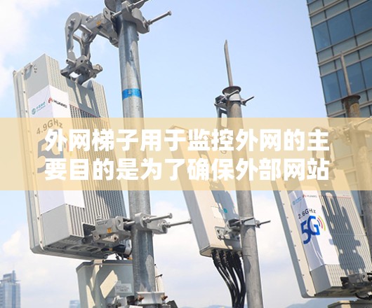 外网梯子用于监控外网的主要目的是为了确保外部网站能够安全访问，同时通过监控发现潜在的恶意行为，保护用户和组织的网络环境。以下是外网梯子服务的主要作用和应用
