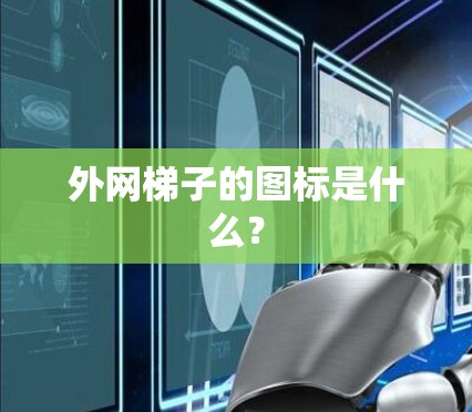 外网梯子的图标是什么？