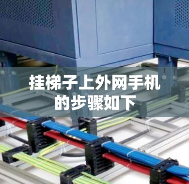 挂梯子上外网手机的步骤如下