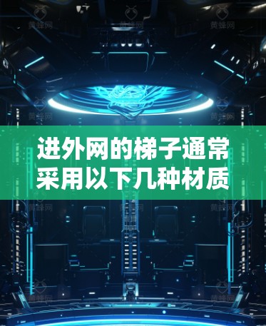 进外网的梯子通常采用以下几种材质，以确保其在建筑中的安全性和稳定性