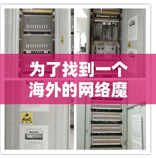 为了找到一个海外的网络魔盒梯子的官网，可以按照以下步骤进行