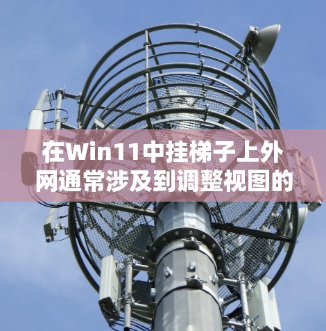在Win11中挂梯子上外网通常涉及到调整视图的显示位置或窗口。以下是逐步操作步骤
