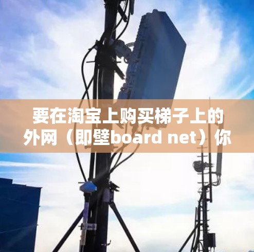 要在淘宝上购买梯子上的外网（即壁board net）你可以按照以下步骤操作