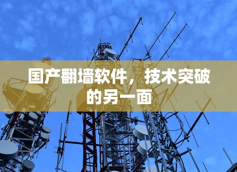 国产翻墙软件，技术突破的另一面