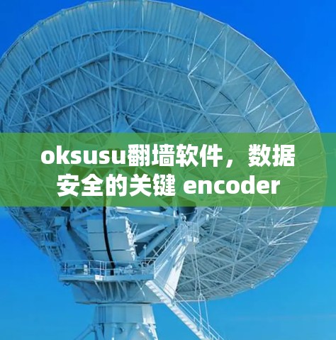 oksusu翻墙软件，数据安全的关键 encoder