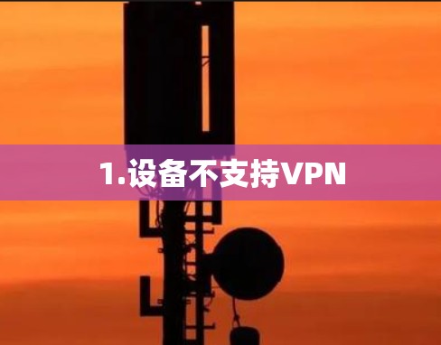 1.设备不支持VPN