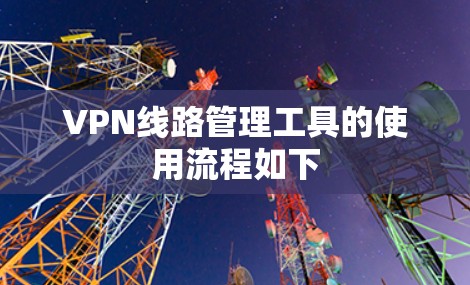 VPN线路管理工具的使用流程如下
