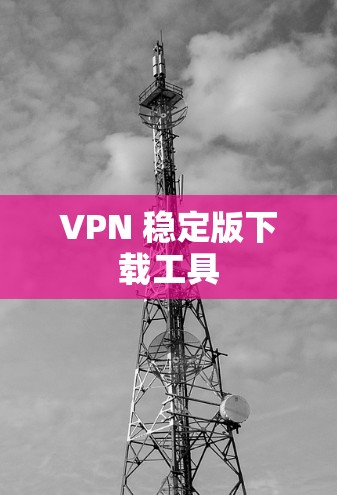 VPN 稳定版下载工具