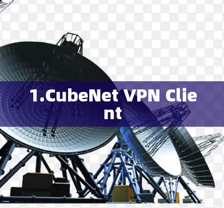 1.CubeNet VPN Client