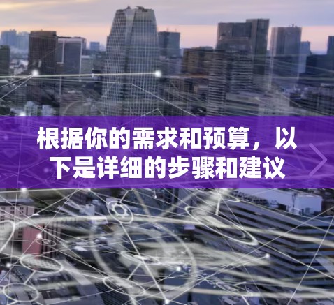 根据你的需求和预算，以下是详细的步骤和建议