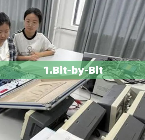 1.Bit-by-Bit