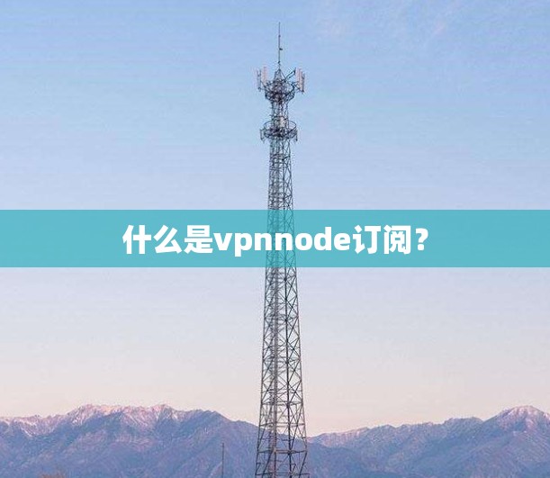 什么是vpnnode订阅？