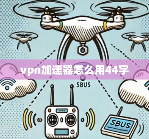 vpn加速器怎么用44字