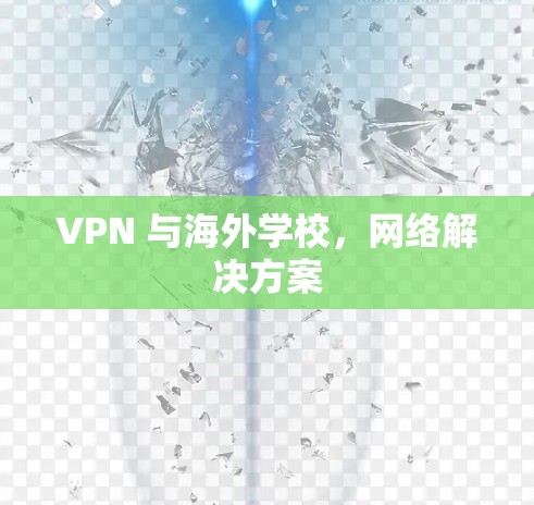 VPN 与海外学校，网络解决方案