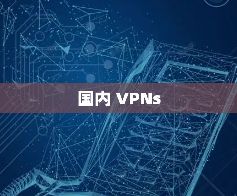 国内 VPNs