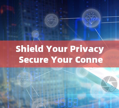 Shield Your Privacy Secure Your Connection Shield Your Privacy Secure Your Connection