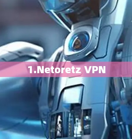 1.Netoretz VPN