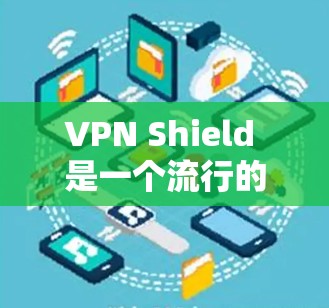 VPN Shield 是一个流行的 VPN 安全工具，用于保护数据和网络安全。它通过使用加密技术，允许用户在云环境中访问互联网，同时保护其在线账户的安全性