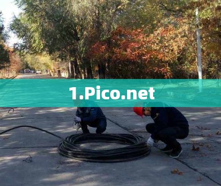 1.Pico.net