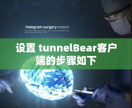 设置 tunnelBear客户端的步骤如下